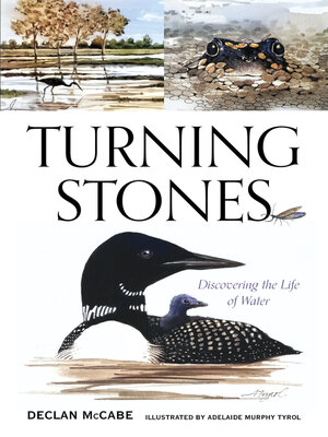 cover image of Turning Stones